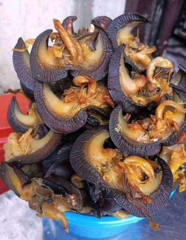 Dry Snail