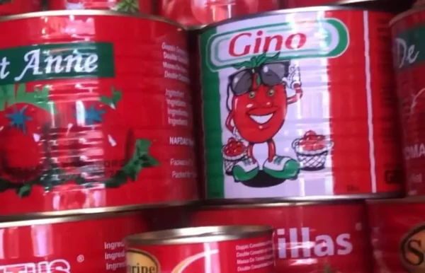 GINO Tin Tomatoes