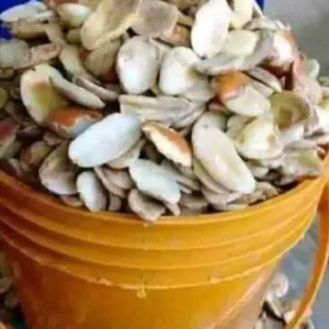 Ogbono seed