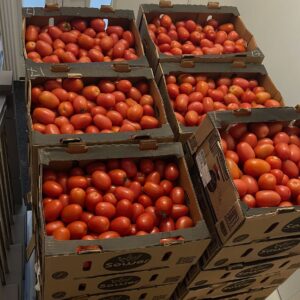 Box of Tomatoes