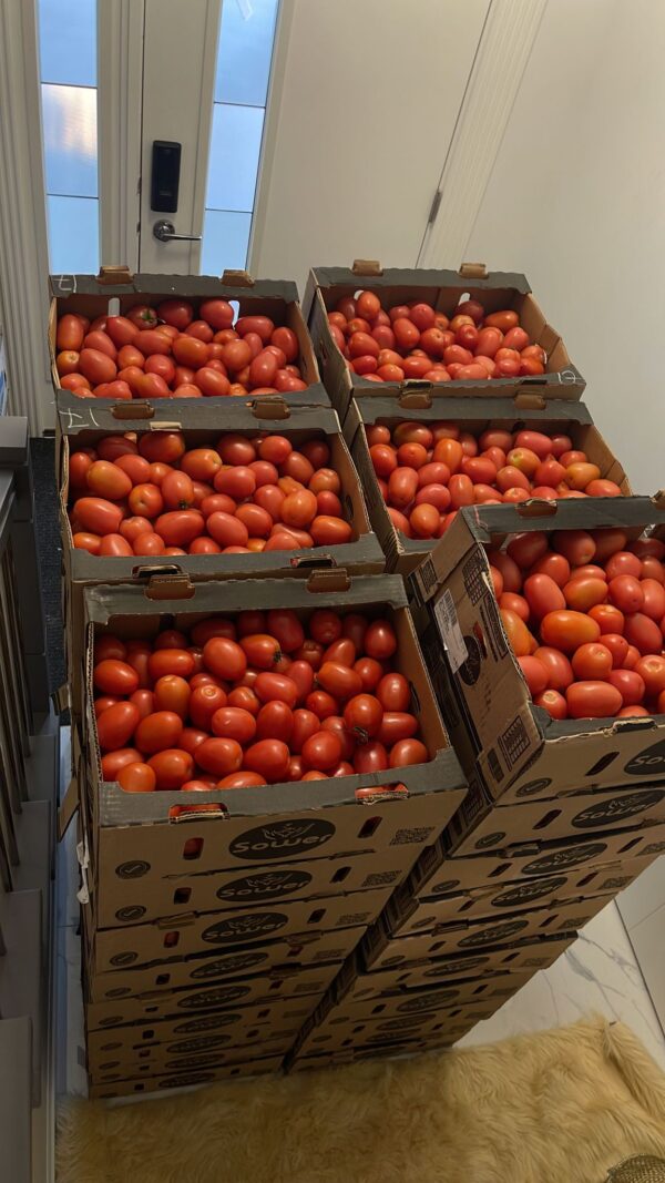 Box of Tomatoes