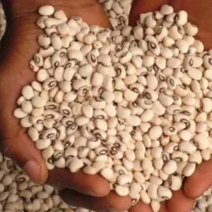 White Beans