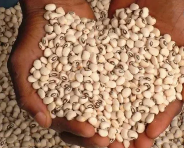 White Beans