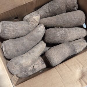 50lbs box of yam