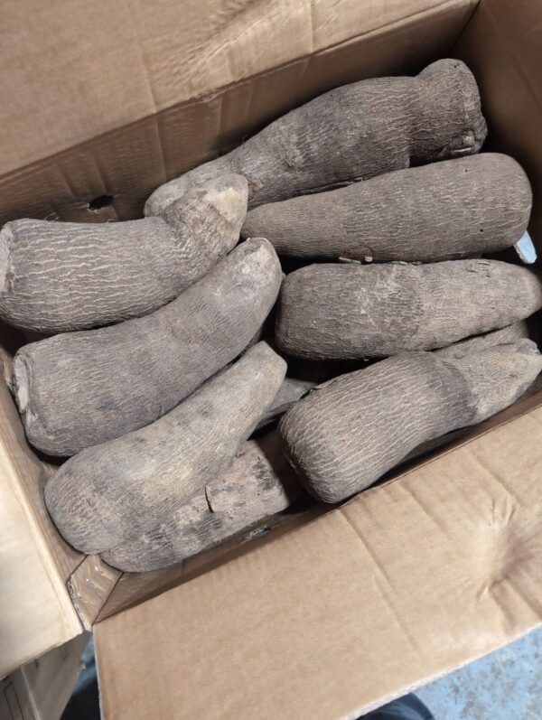 50lbs box of yam