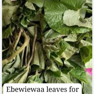 Fresh ebewiewaa leaves
