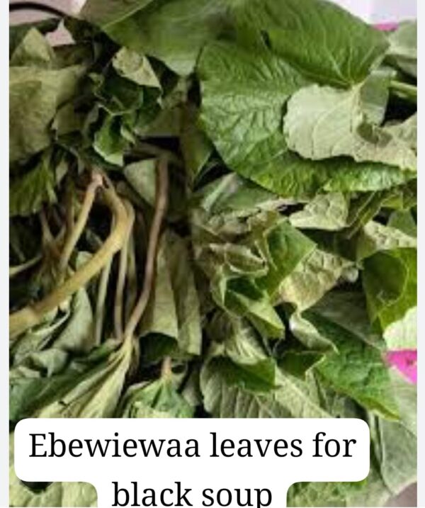 Fresh ebewiewaa leaves