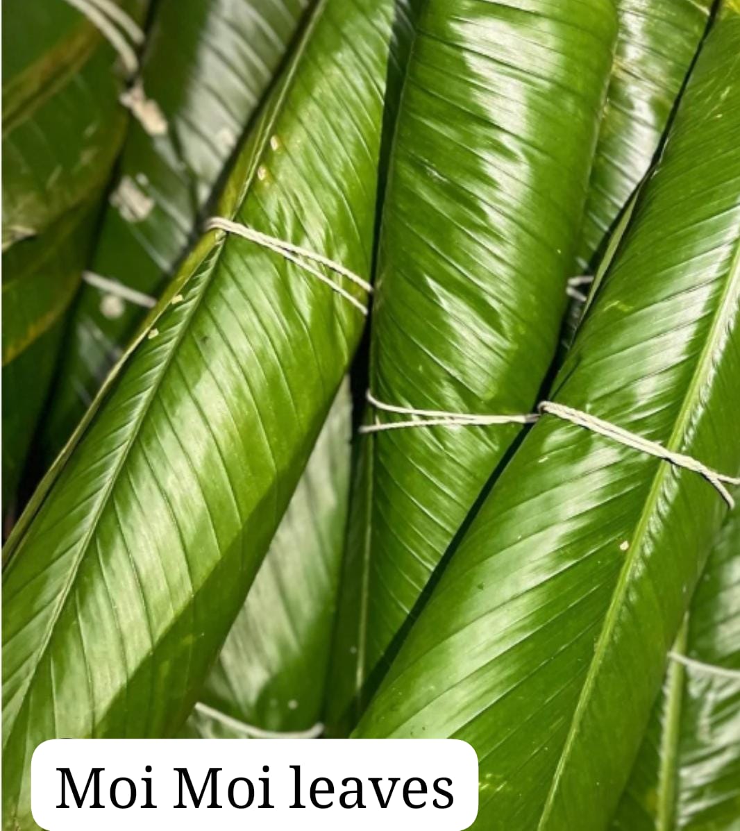 Fresh moi moi leaves
