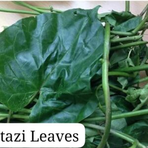 Utazi Leaves