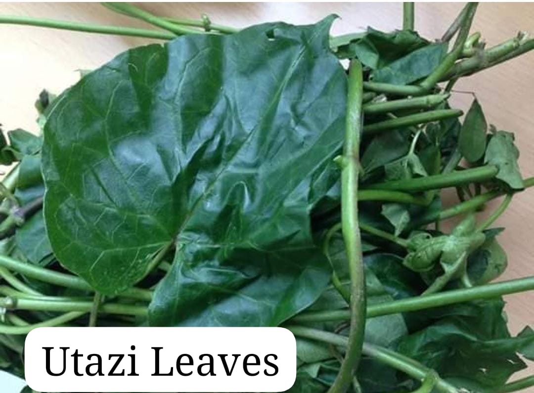 Utazi Leaves