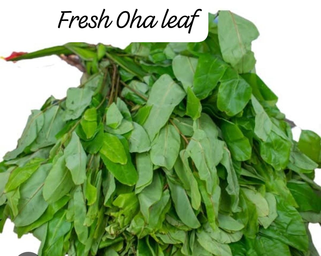 fresh oha leaves