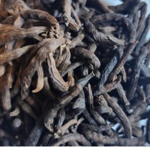 Uda Seed