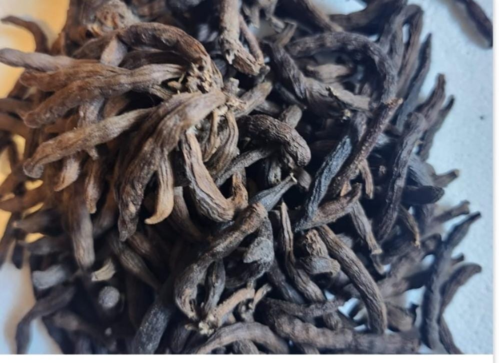 Uda Seed