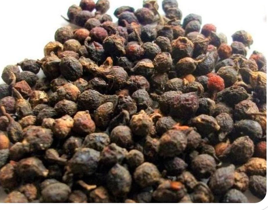 Uziza Seed